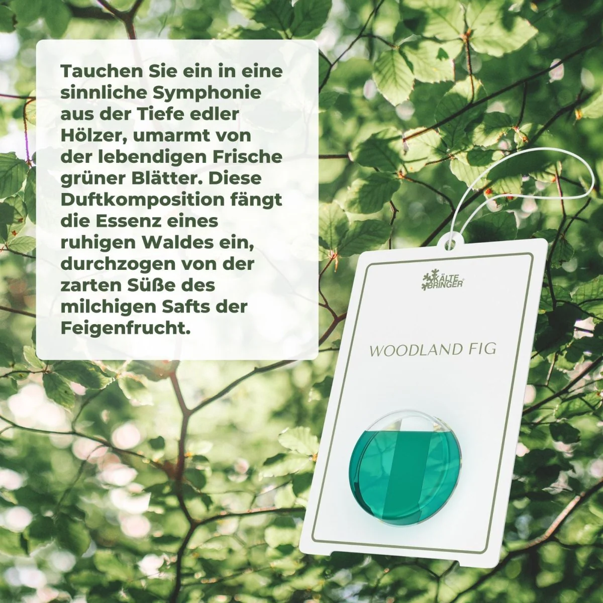 Premium Autoparfüm Autoduft - Image 4