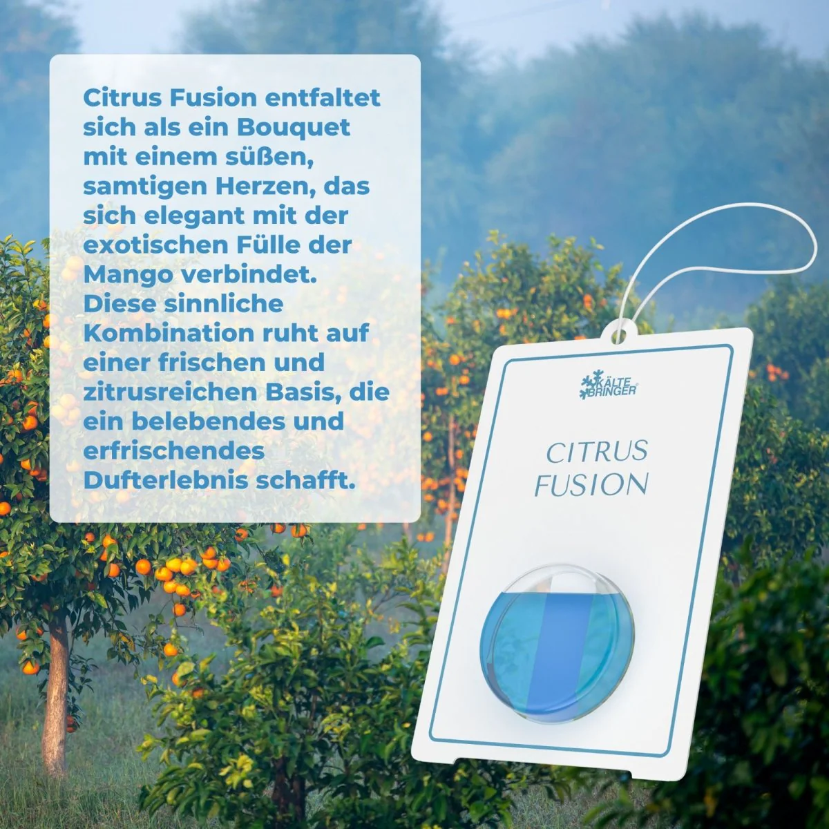 Premium Autoparfüm Autoduft - Image 6